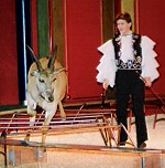 Sylvio Schwichtenberg