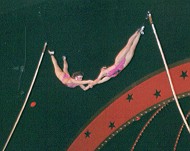 Roswings