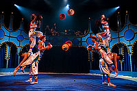 Longcheng Acrobatic Troupe Puyang