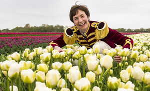 tulp Arlette in het veld