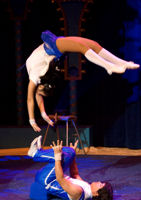 0708 041 Fausto Scorpions