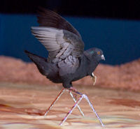 0708 031 Andrejs Fjodorovs