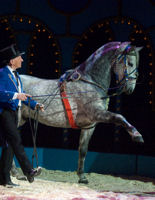 0708 060 Pavel Doubek hoge school