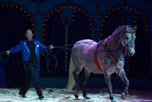 0708 061 Pavel Doubek hoge school