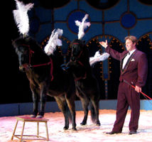 0708 147 Trixi & Roy