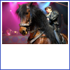 mailing bedrijven knop vrst huidige