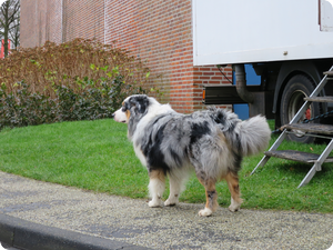 1314 dagboek 13 12 15 Amersfoort 3