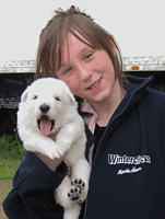 1213 dagboek 120513 puppy