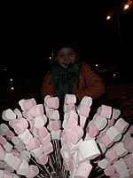 0910 dagboek 091231 marshmellows